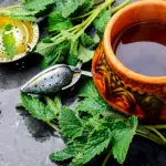 Tisana alla melissa: proprietà e controindicazioni