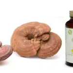 Reishi Plus, compresse per dimagrire a base di fungo