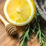 Timo, la pianta medicinale con numerose proprietà