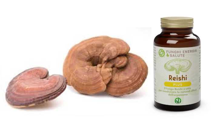 Reishi Plus, compresse per dimagrire a base di fungo